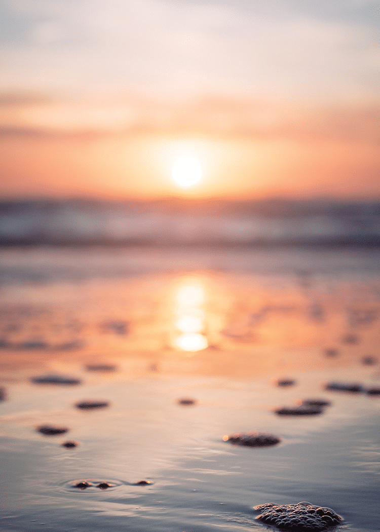 beautiful scene with sunset
