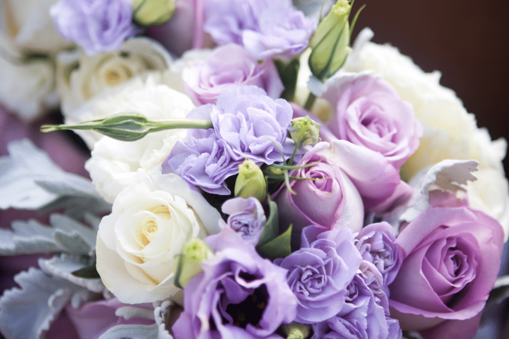 very peri flowers