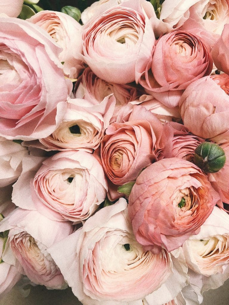 blush rose wedding flowers
