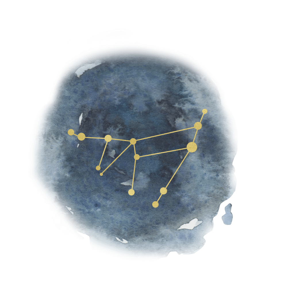 capricorn