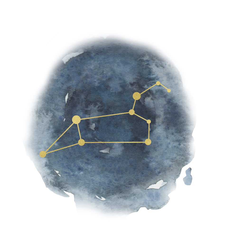 star sign Leo