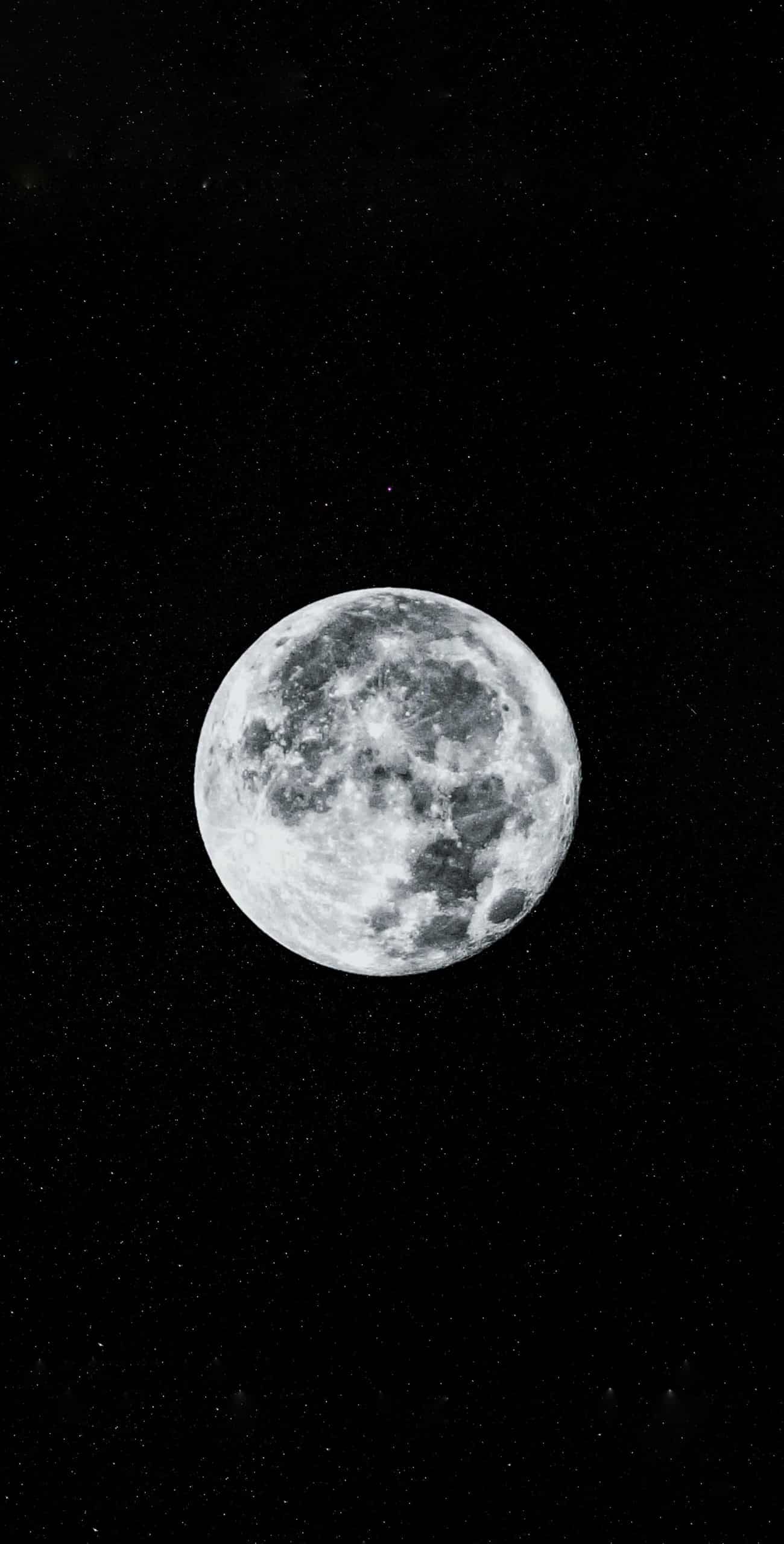 12 moon sign placements