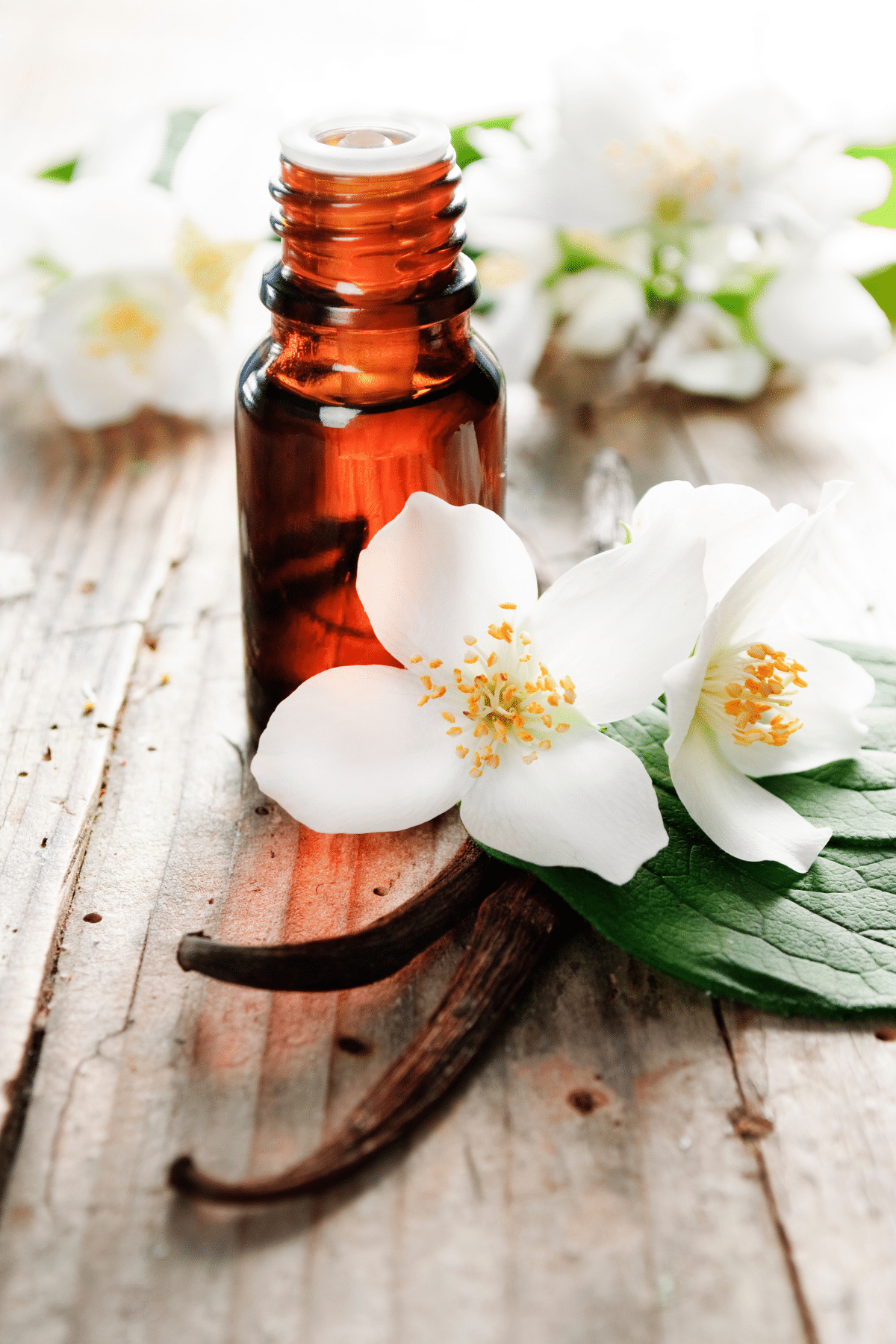 jasmine and vanilla essential oil 
