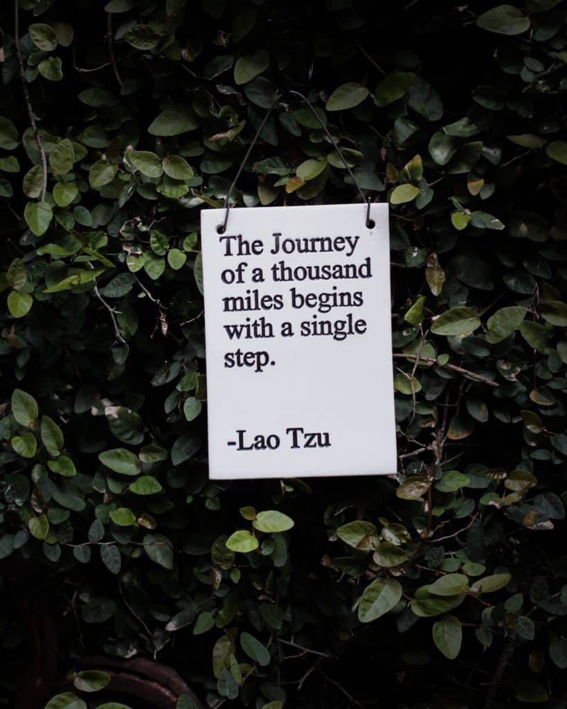 the journey of a thousand miles begins with a single step - Lao Tzu