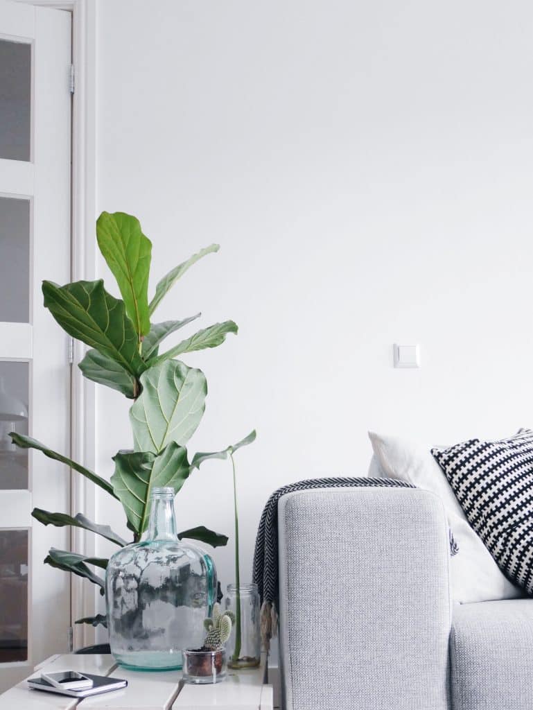 minimalist life