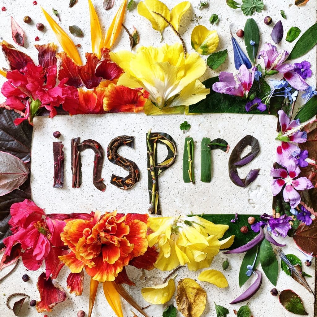 inspire self love flower meanings