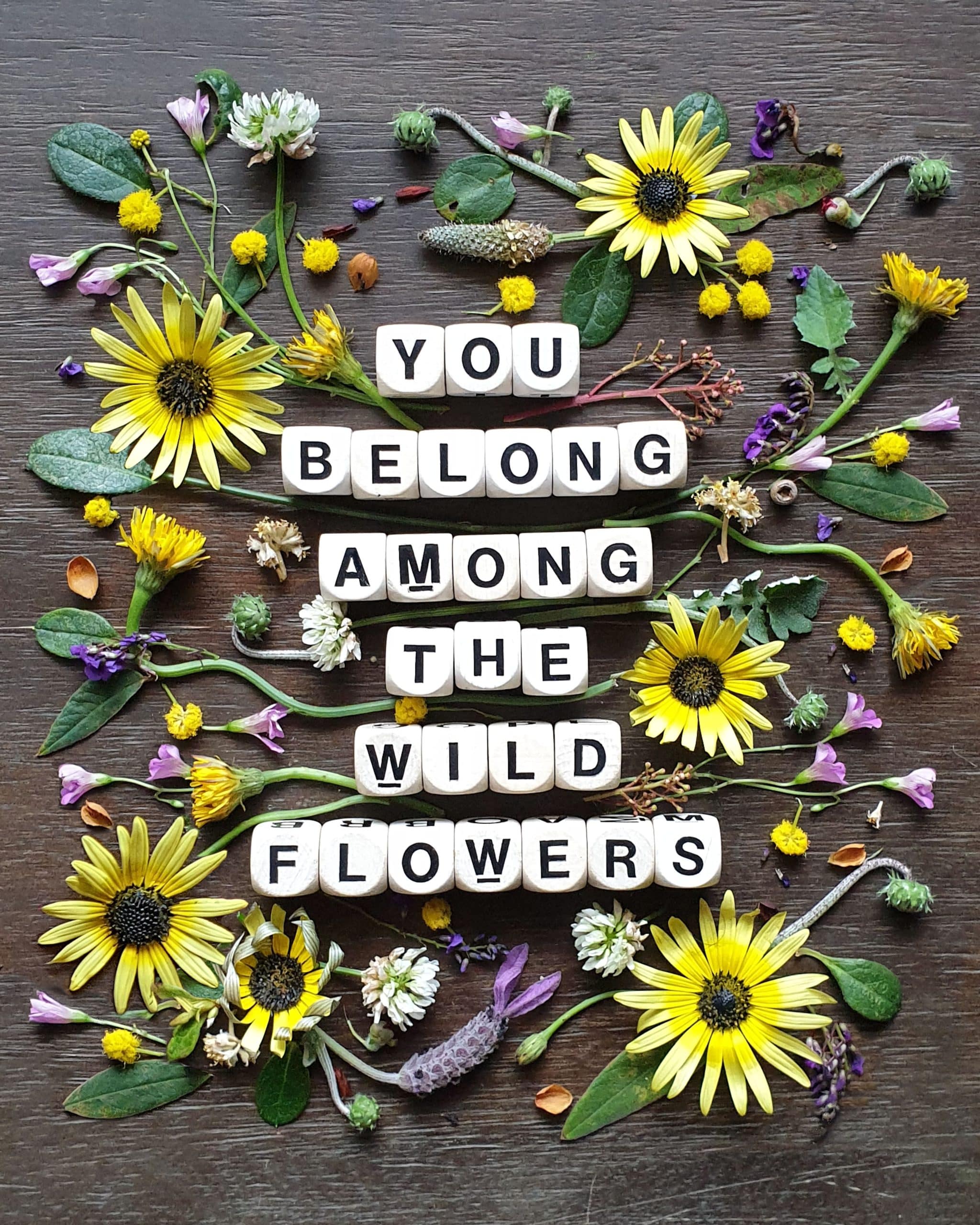 you belong among the wild flowers