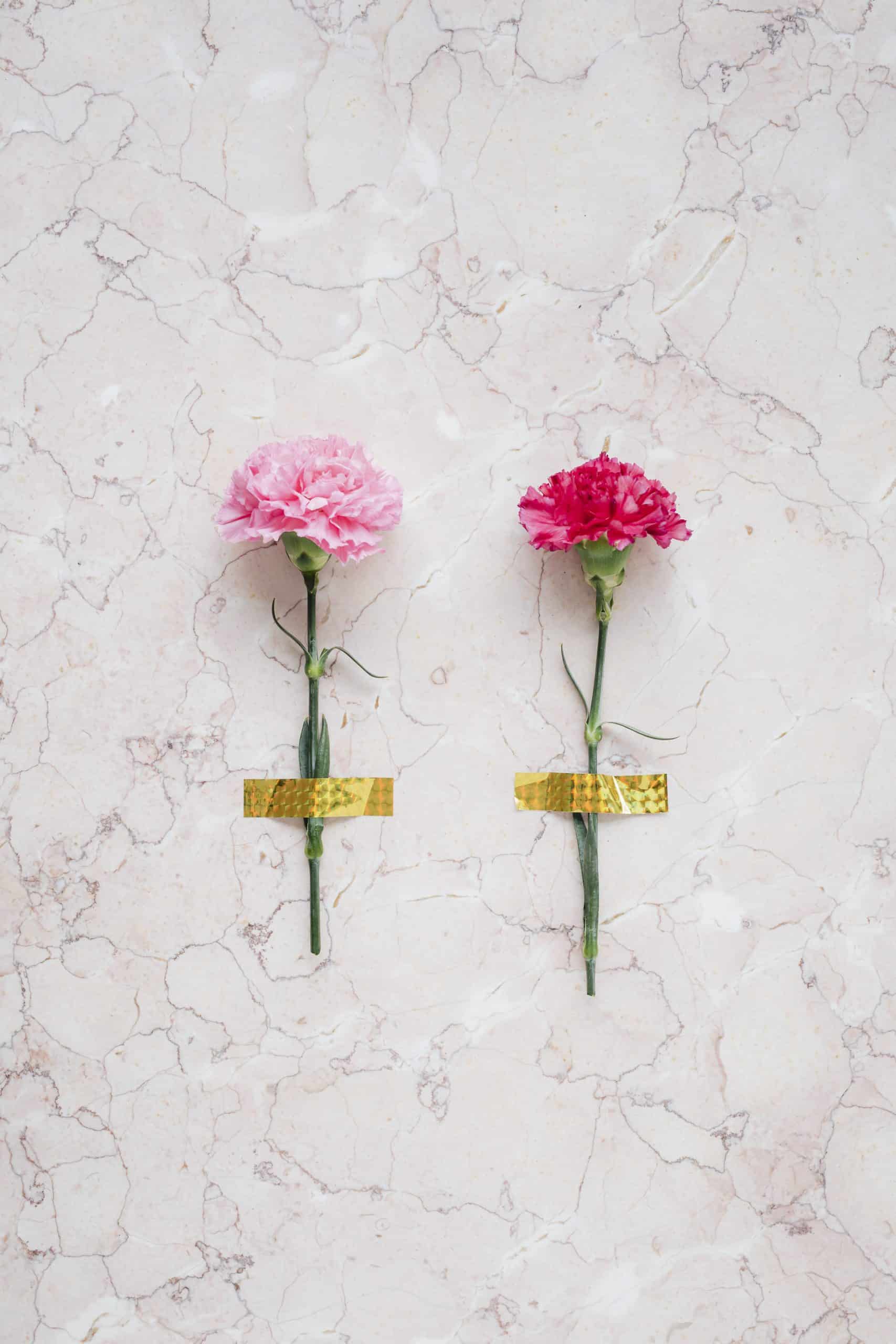 meanings of carnations