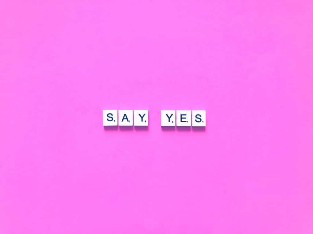 say yes