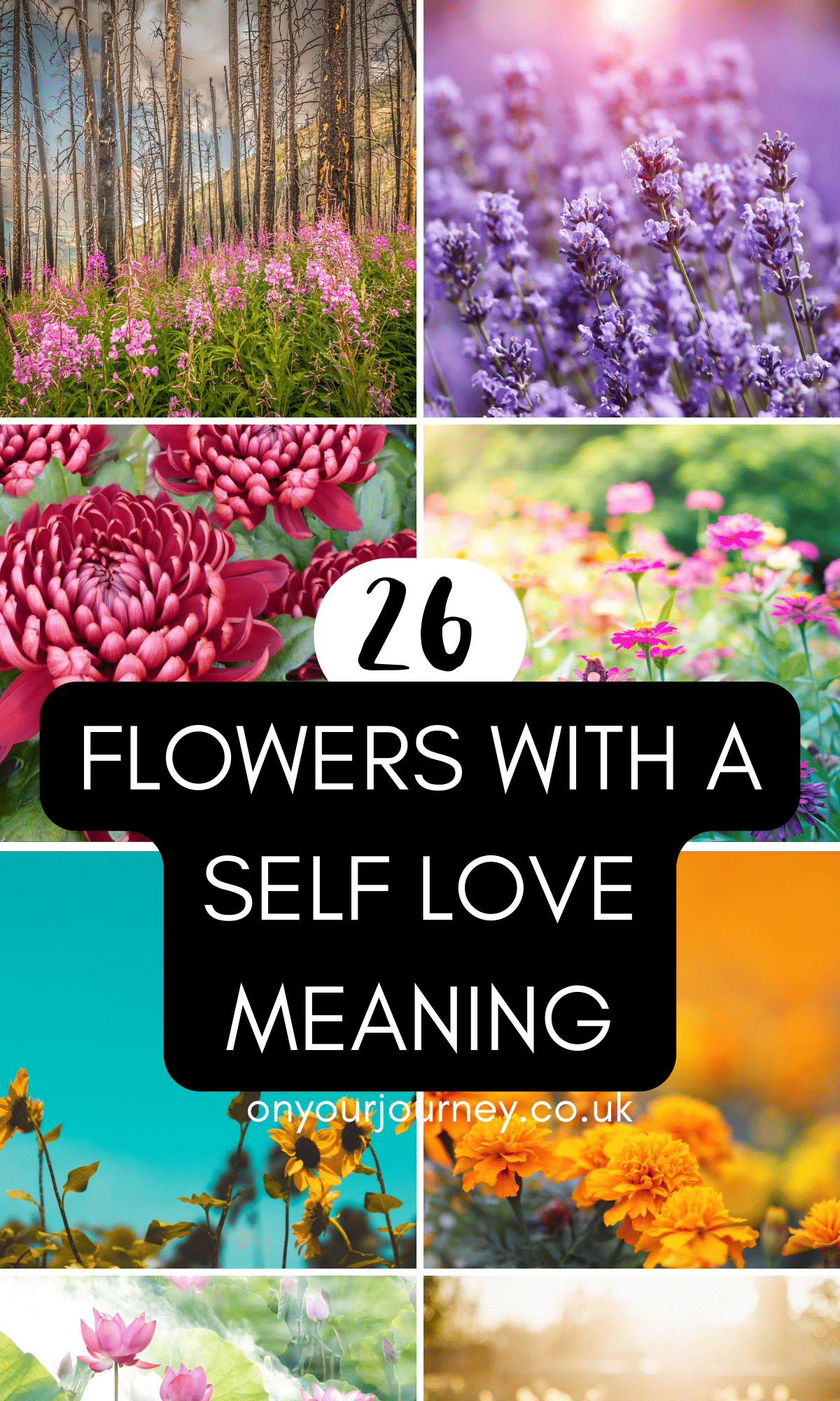 flowers with a self love meaning