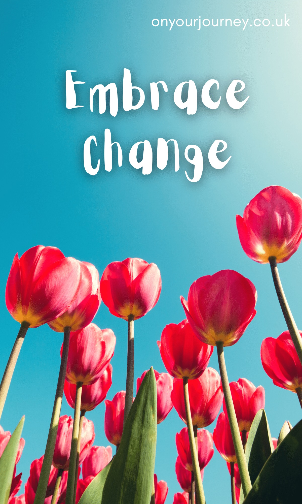red tulips embrace change