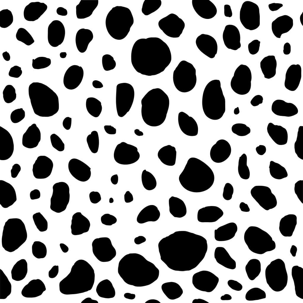 cheetah spots
