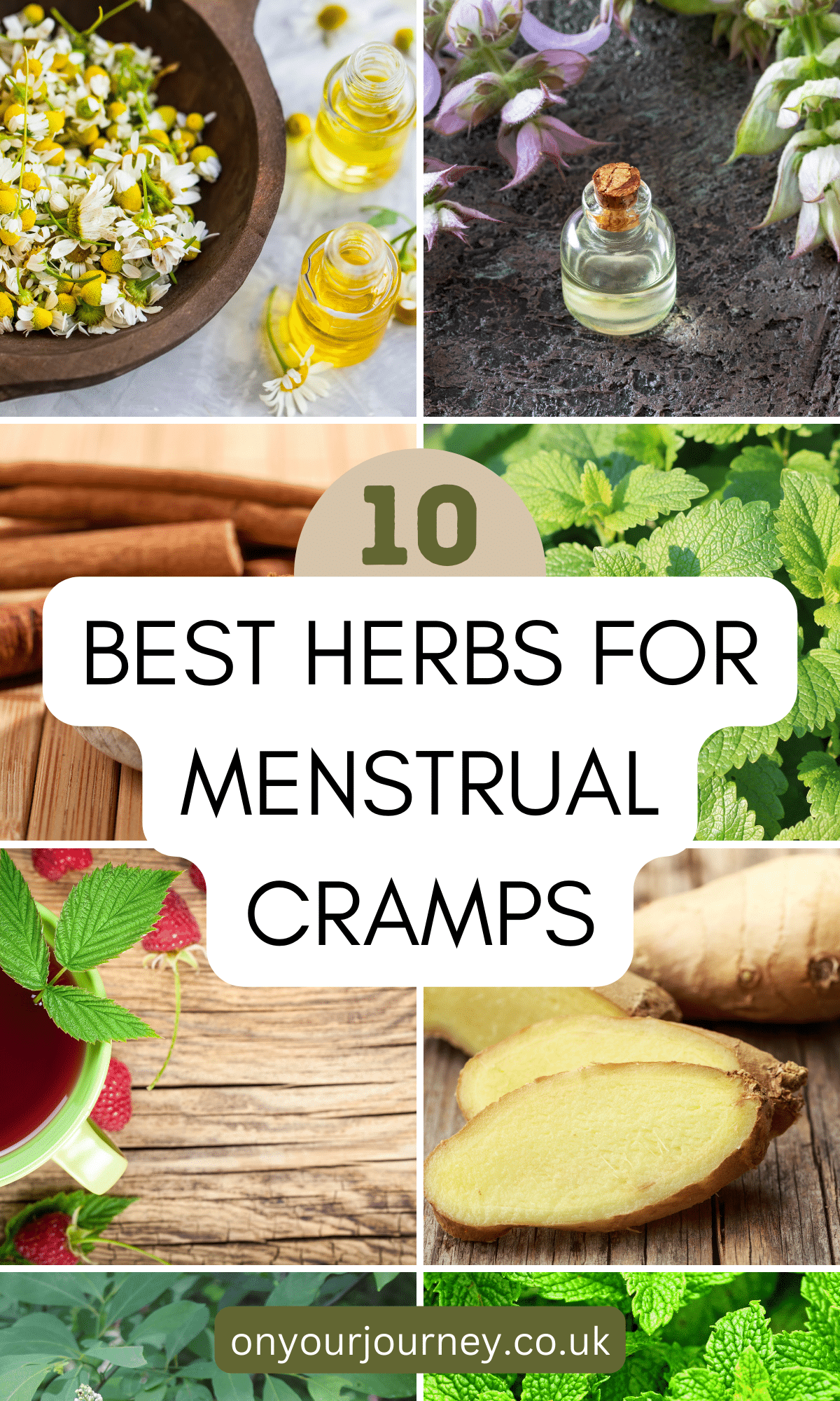 10 best herbs for menstrual cramps. natural relief for period pain 