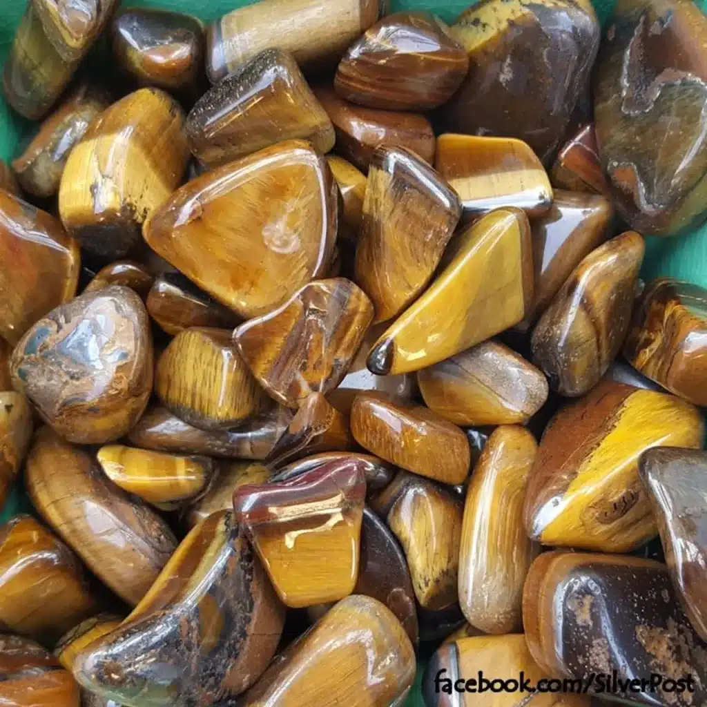 tigers eye 