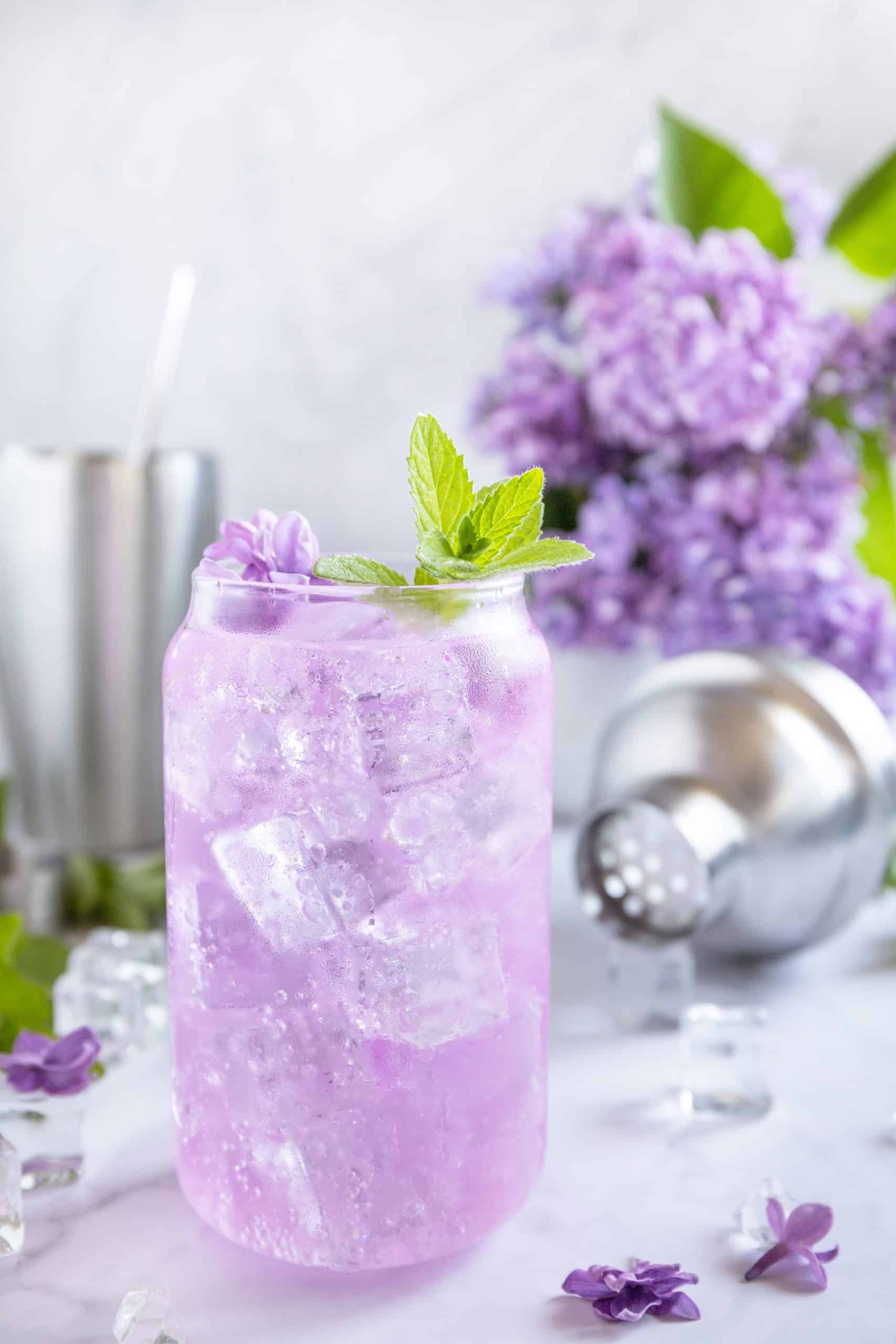 healthy mocktail ingredients and garnishes