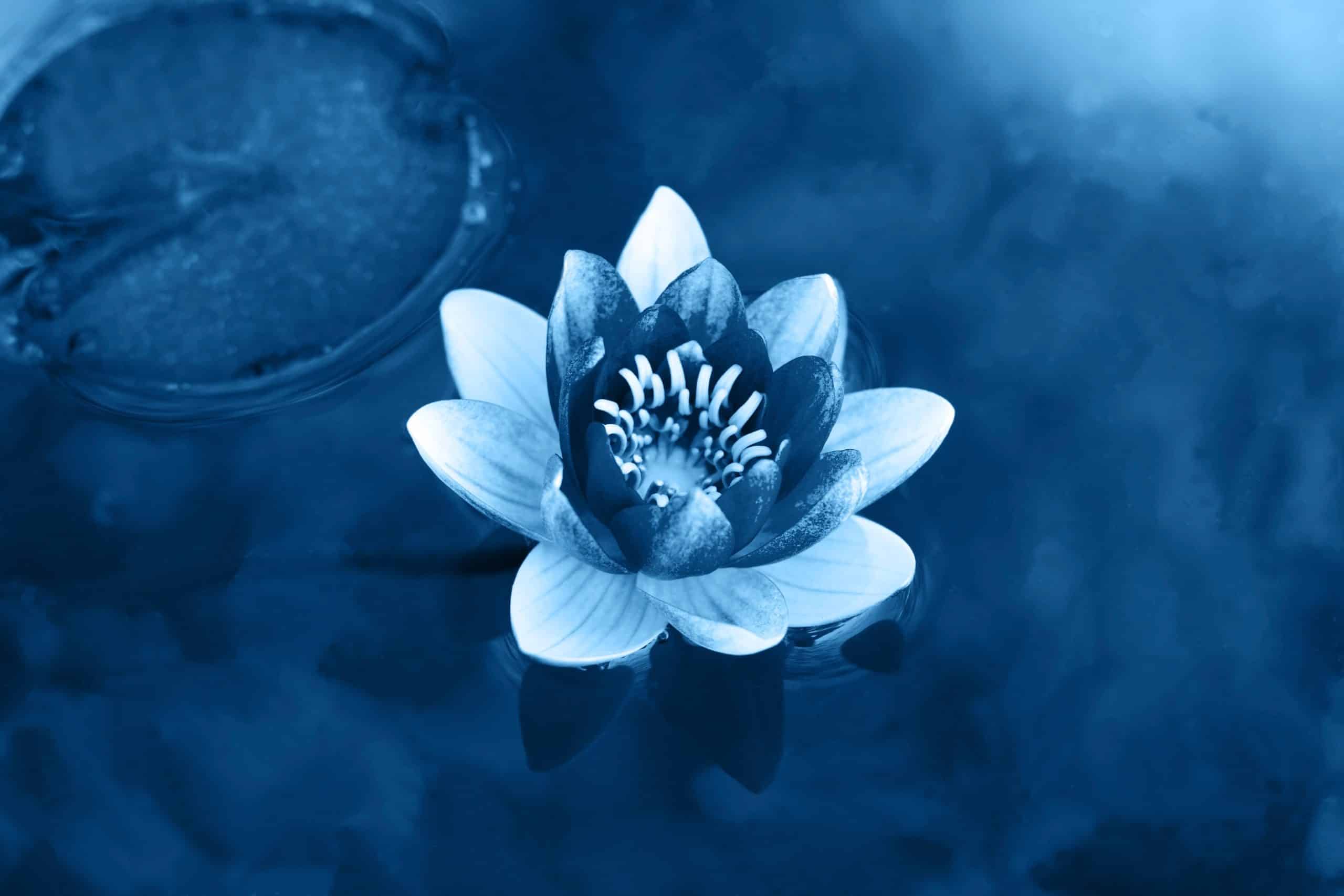 the spiritual meaning of the color blue
