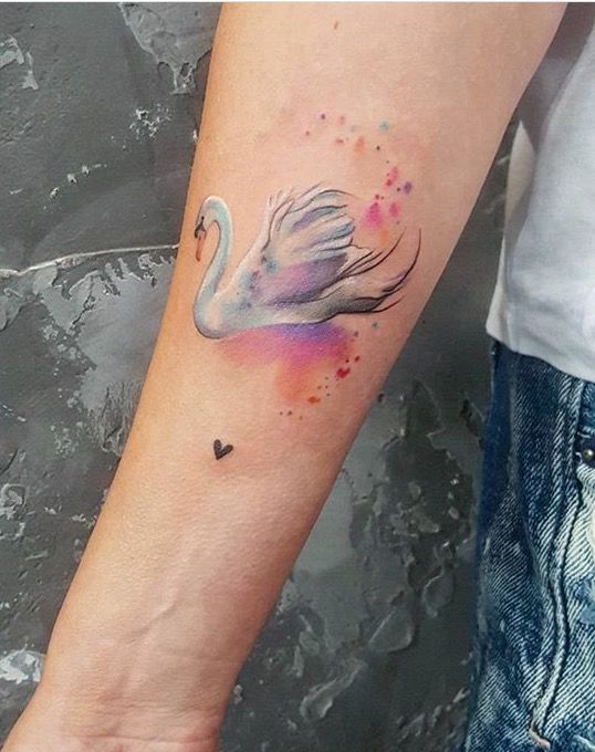 watercolor swan tattoo
