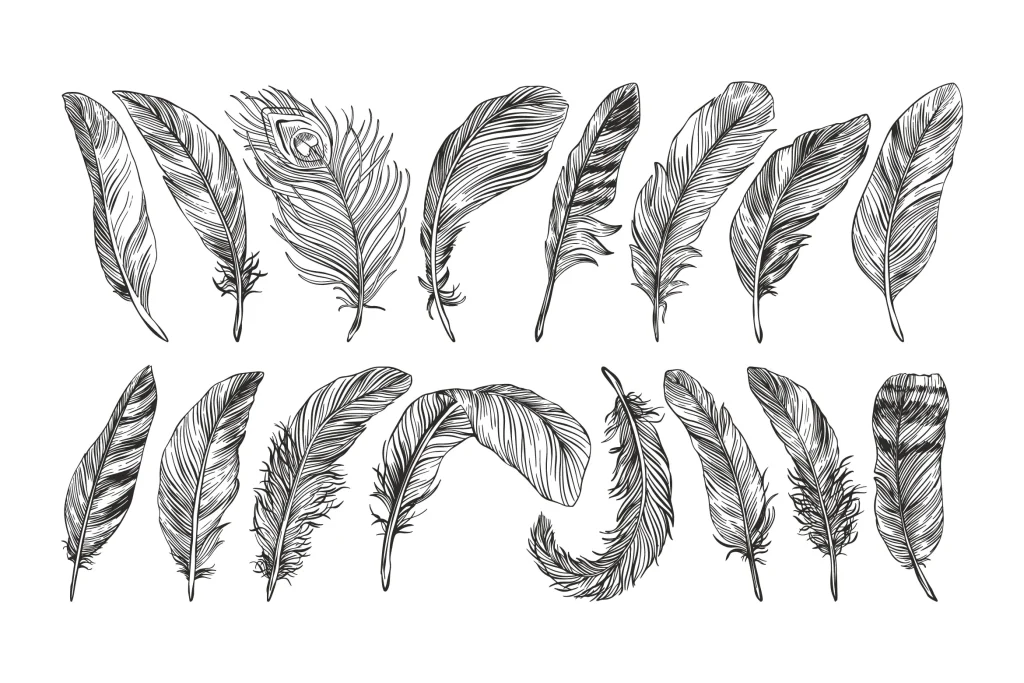 different ways to draw a feather 