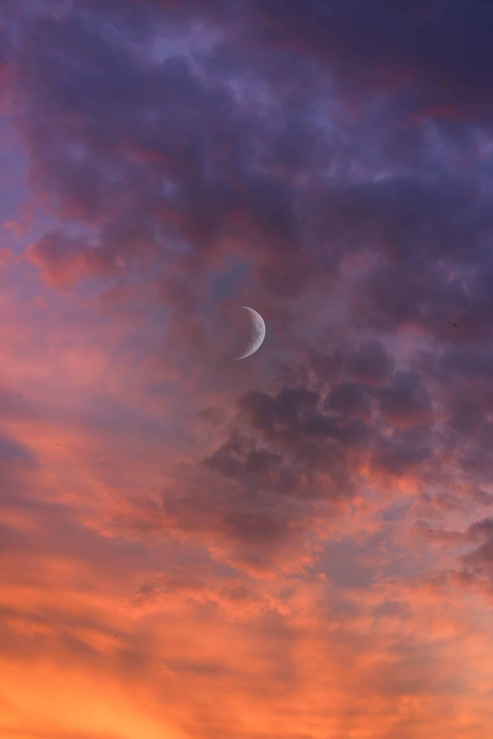CRESCENT MOON IN PINK NIGHT SKY
