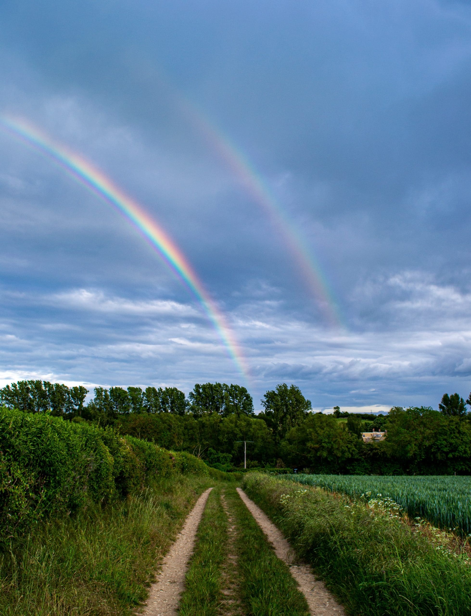 double rainbow 