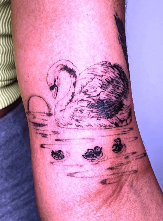 swan tattoo meaning classic swan tattoo
