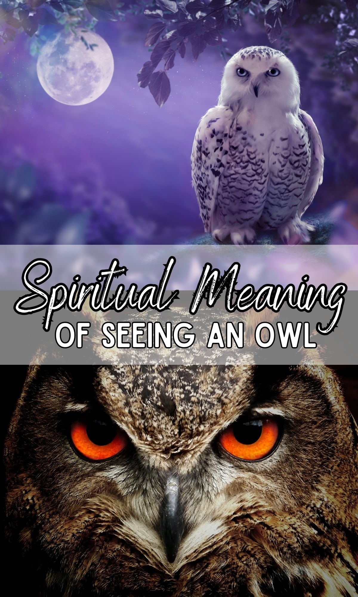 the spiritual meaning of seeing an owl, what is the symbolism of owls in different cultures