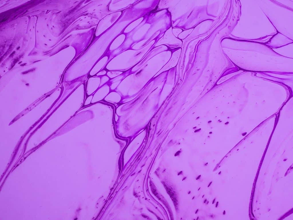 meaning of purple in meditation 
