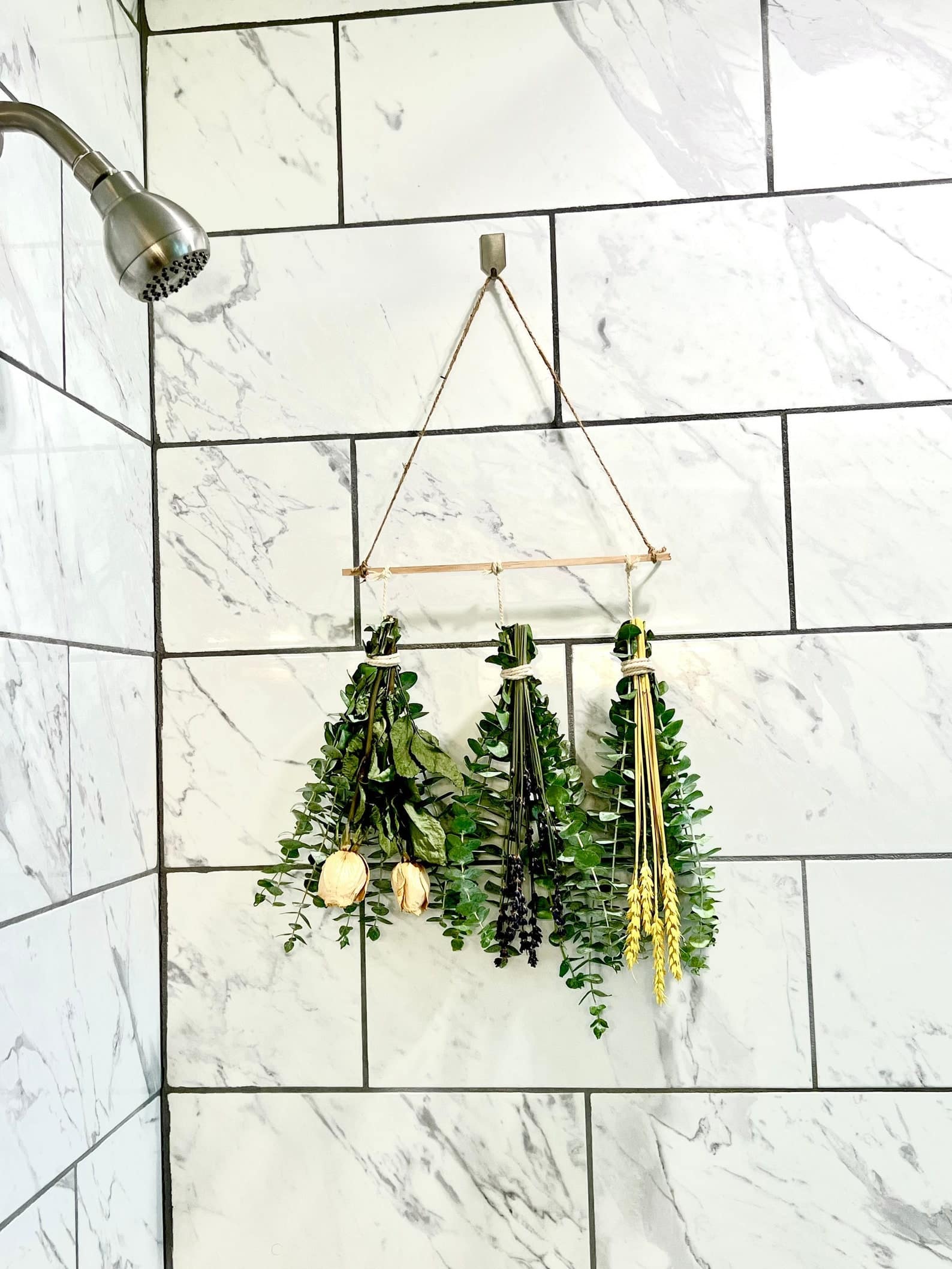 plant hanger for the shower bathroom