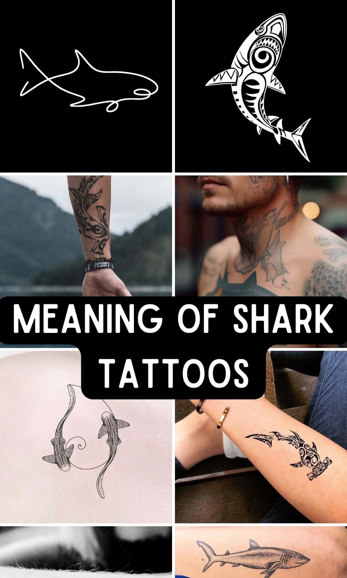 shark tattoo meaning and designs 