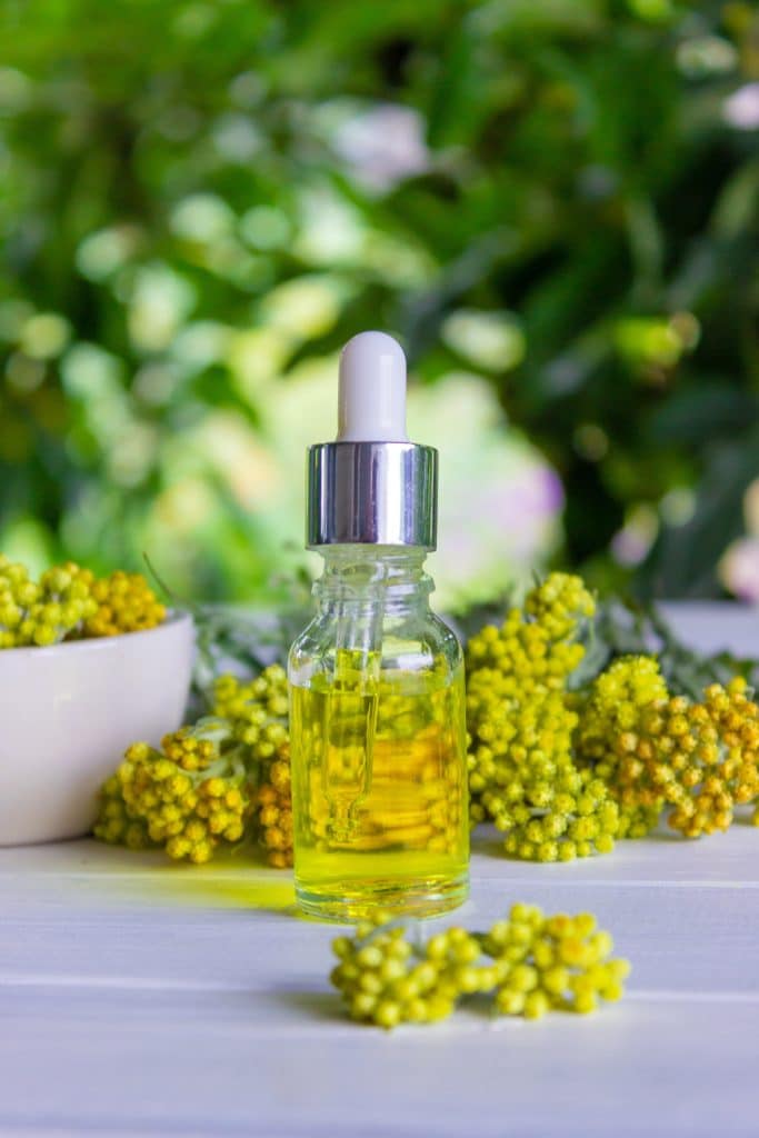 blue tansy essential oil
