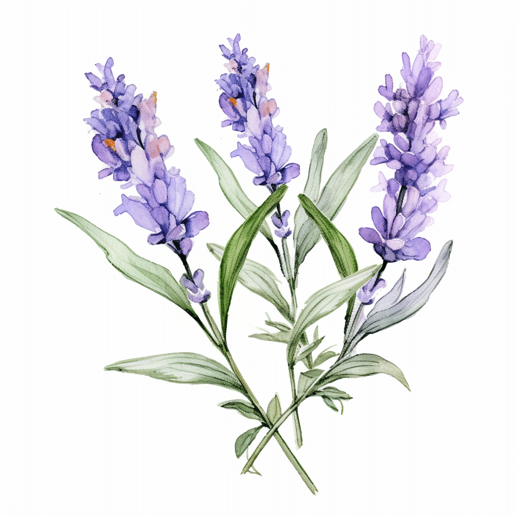 lavender watercolor for lavender haze tattoo inspiration 