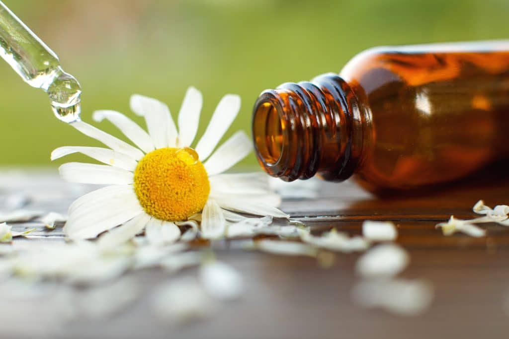 chamomile for migraine