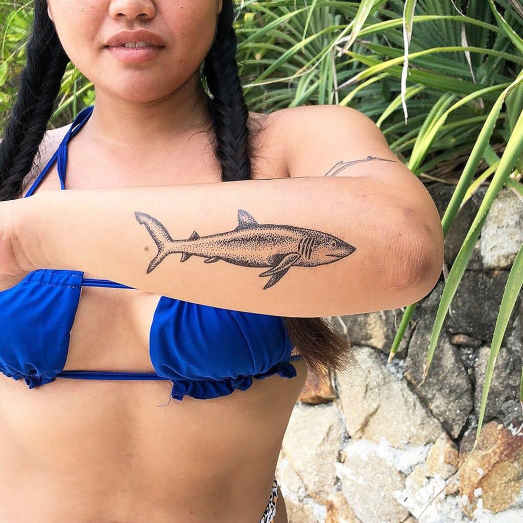 great white shark tattoo 