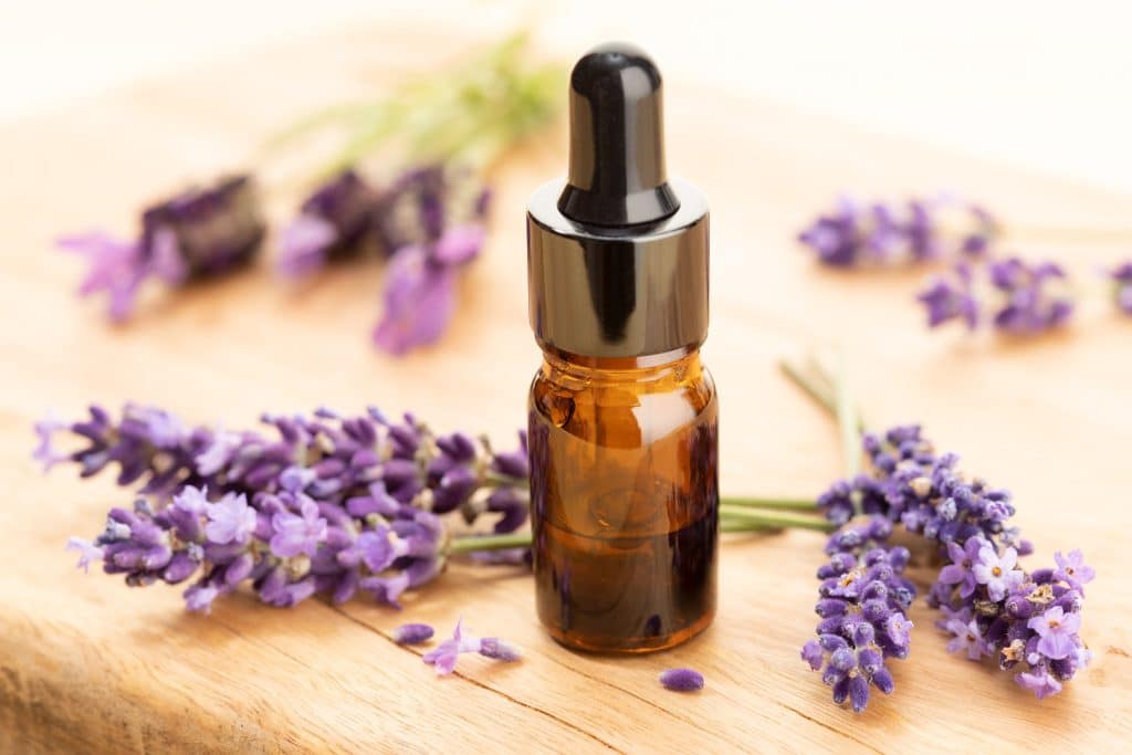 lavender essential oil