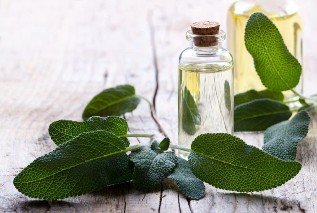 sage essential oil