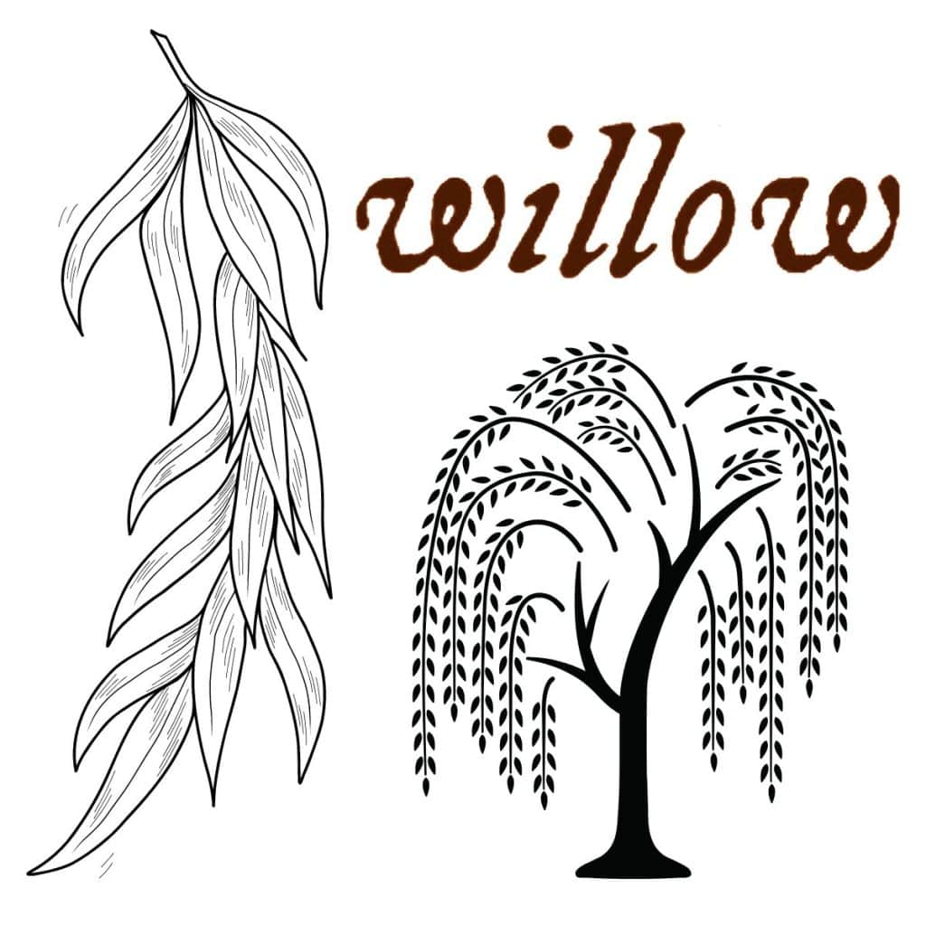 willow tattoo Taylor swift evermore 