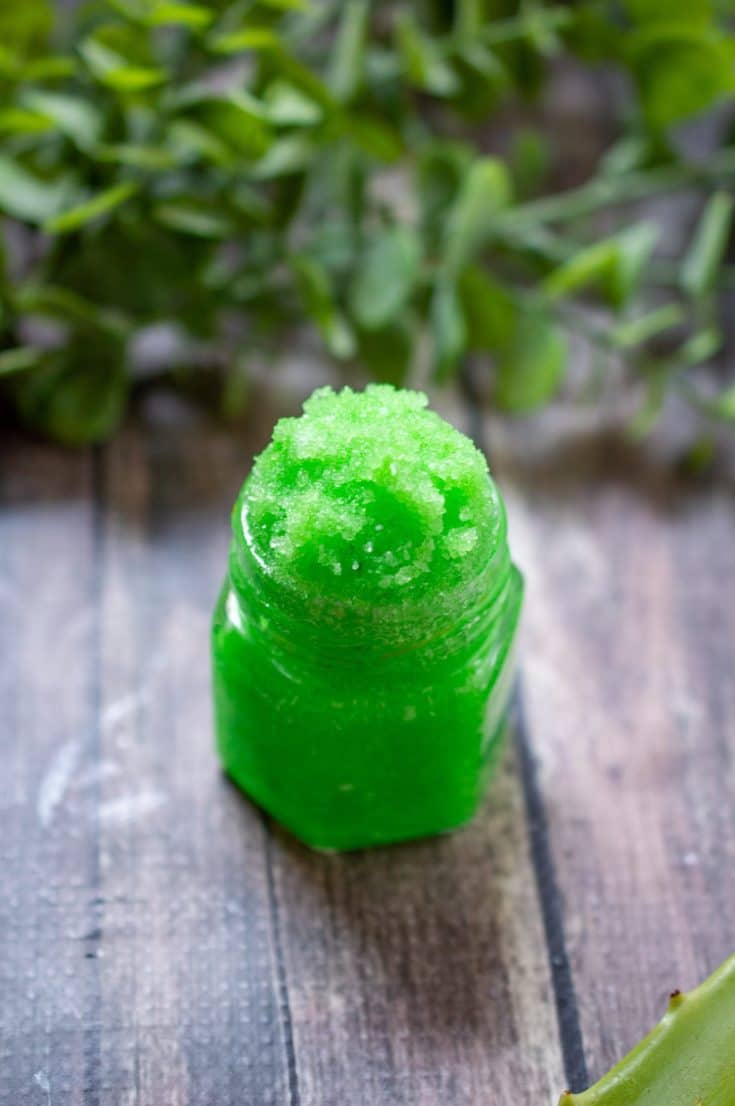 DIY Aloe Vera Lip Scrub