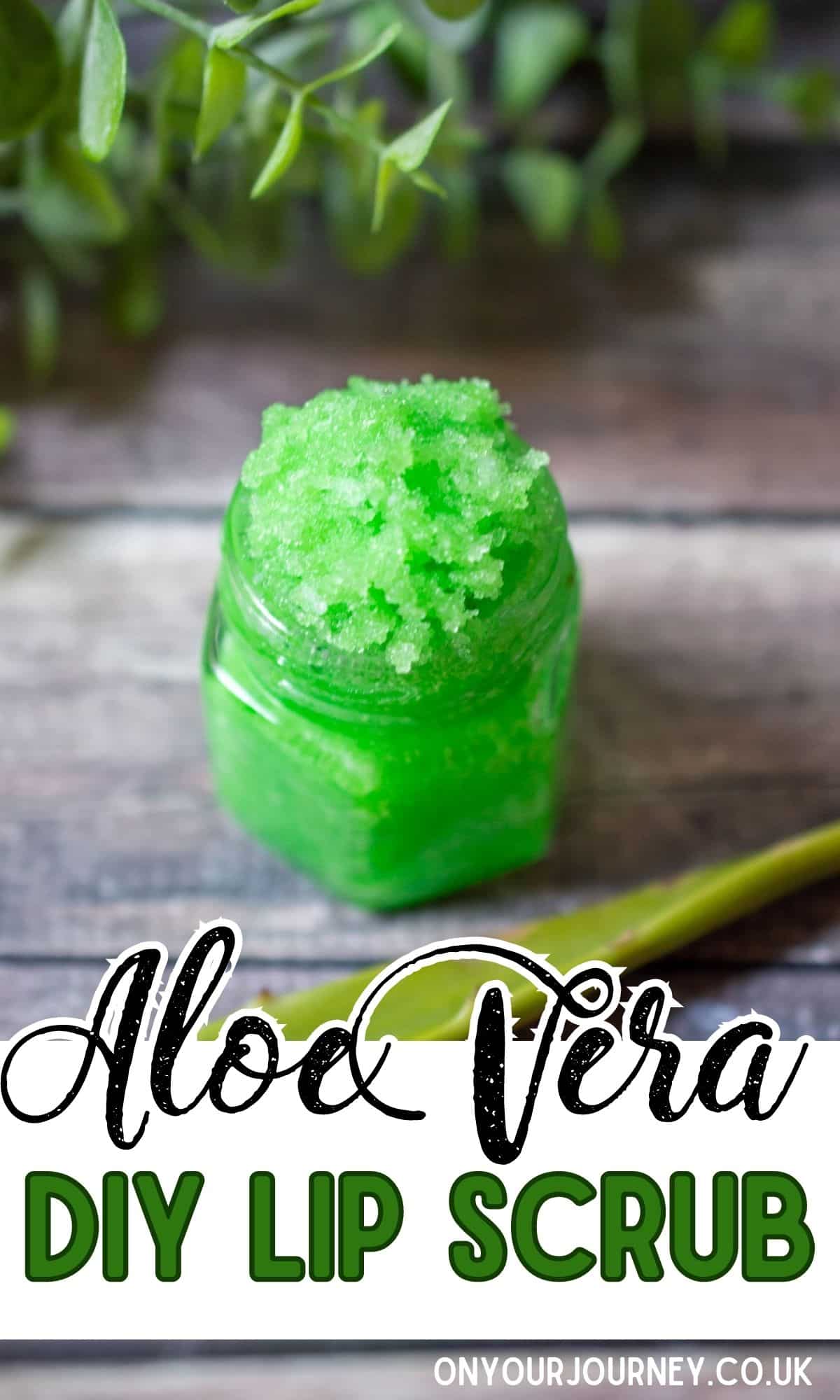 diy aloe vera lip scrub