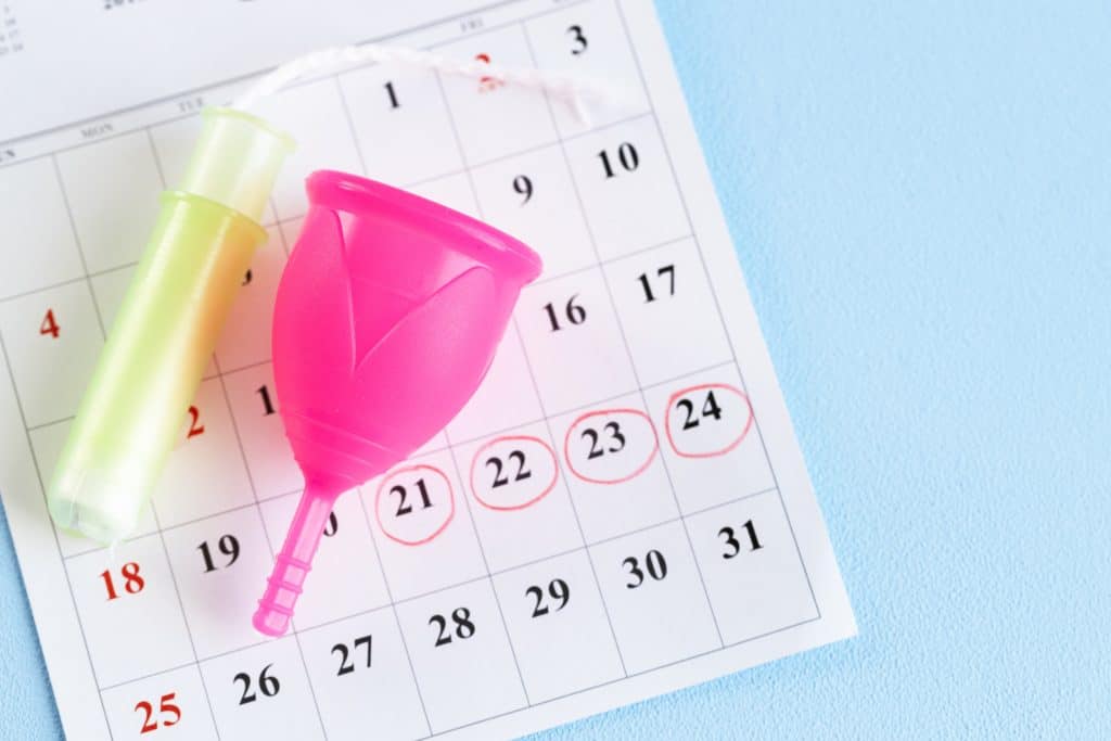 menstrual cycle
