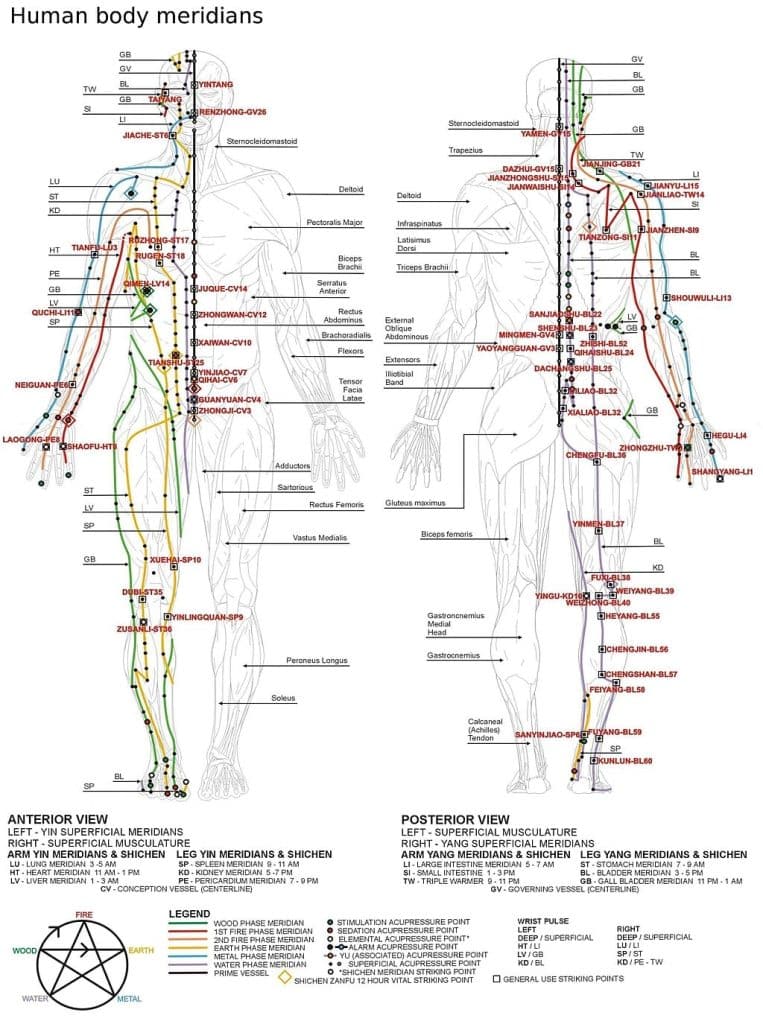 chinese medicine body diagram