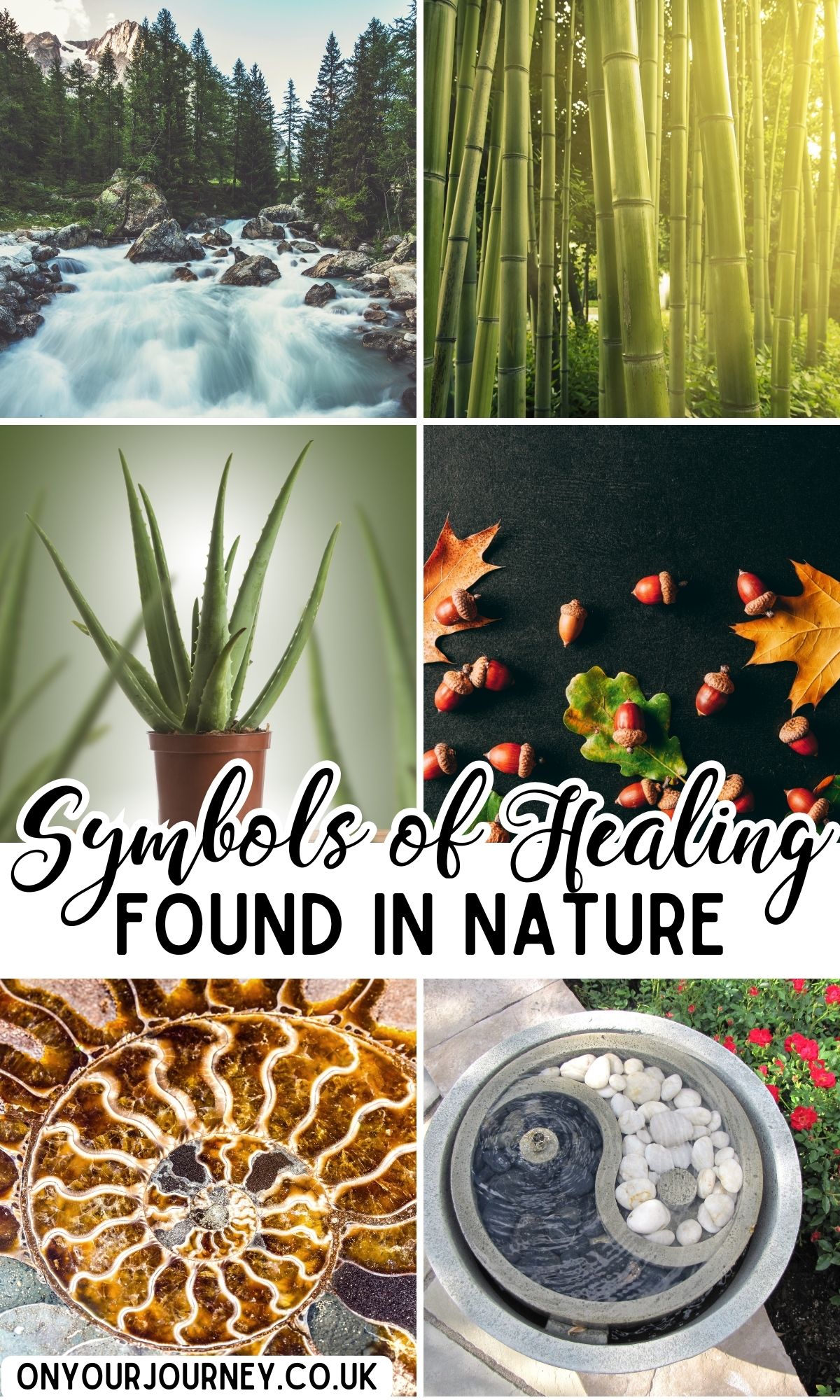 symbols of healing in nature 