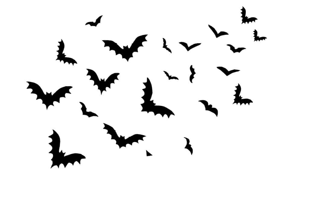 bats a symbol of letting go 
