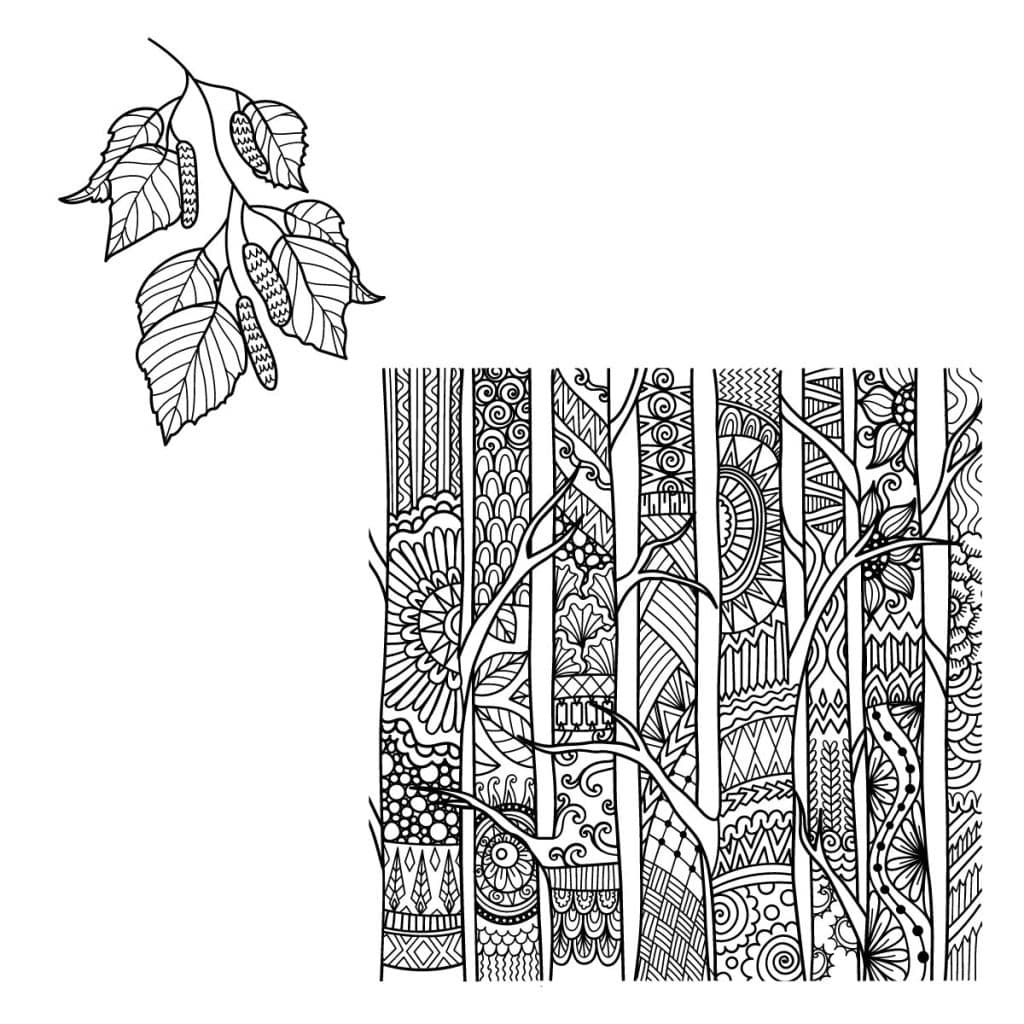 birch tree symbol of letting go 