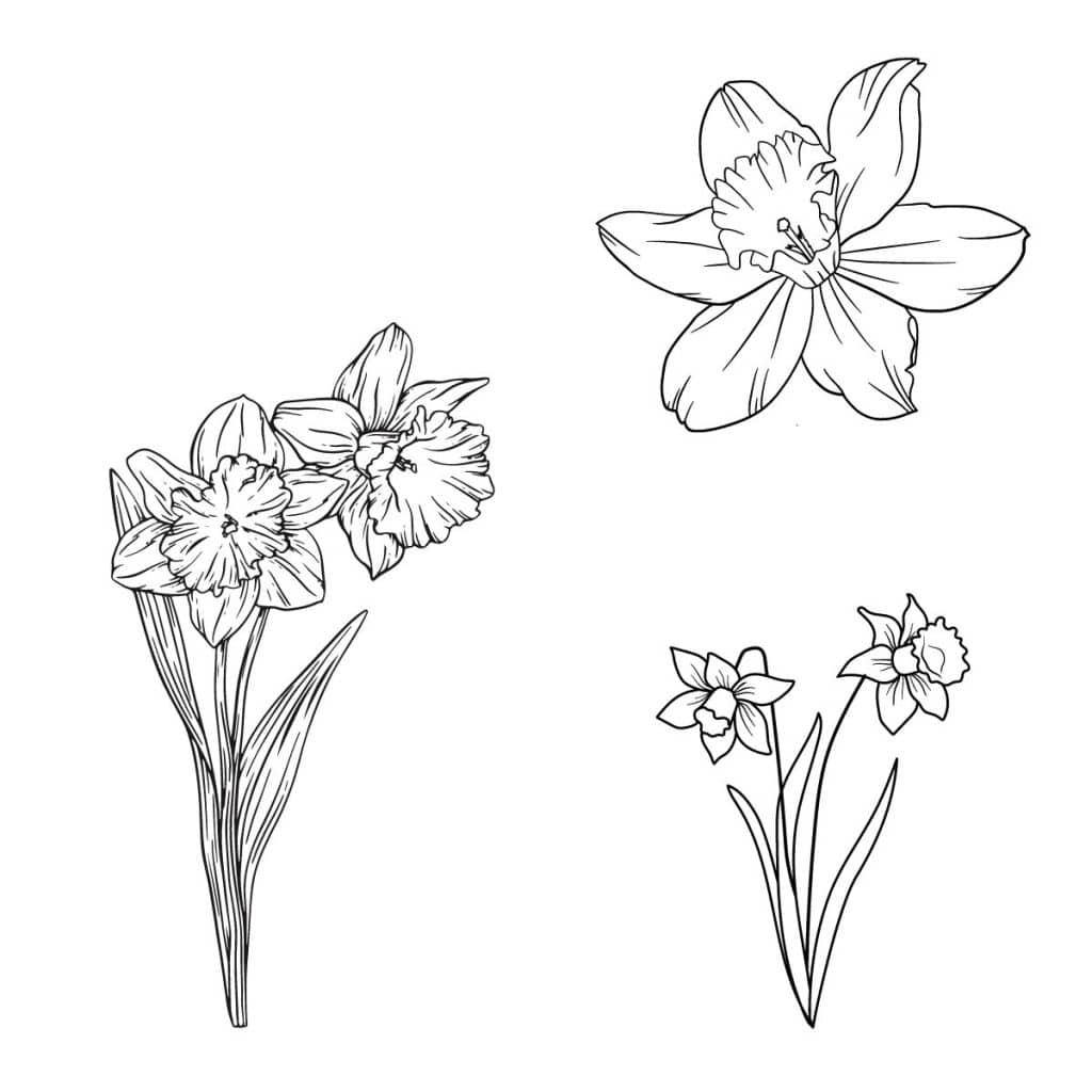 daffodil symbol of letting go and new beginnings