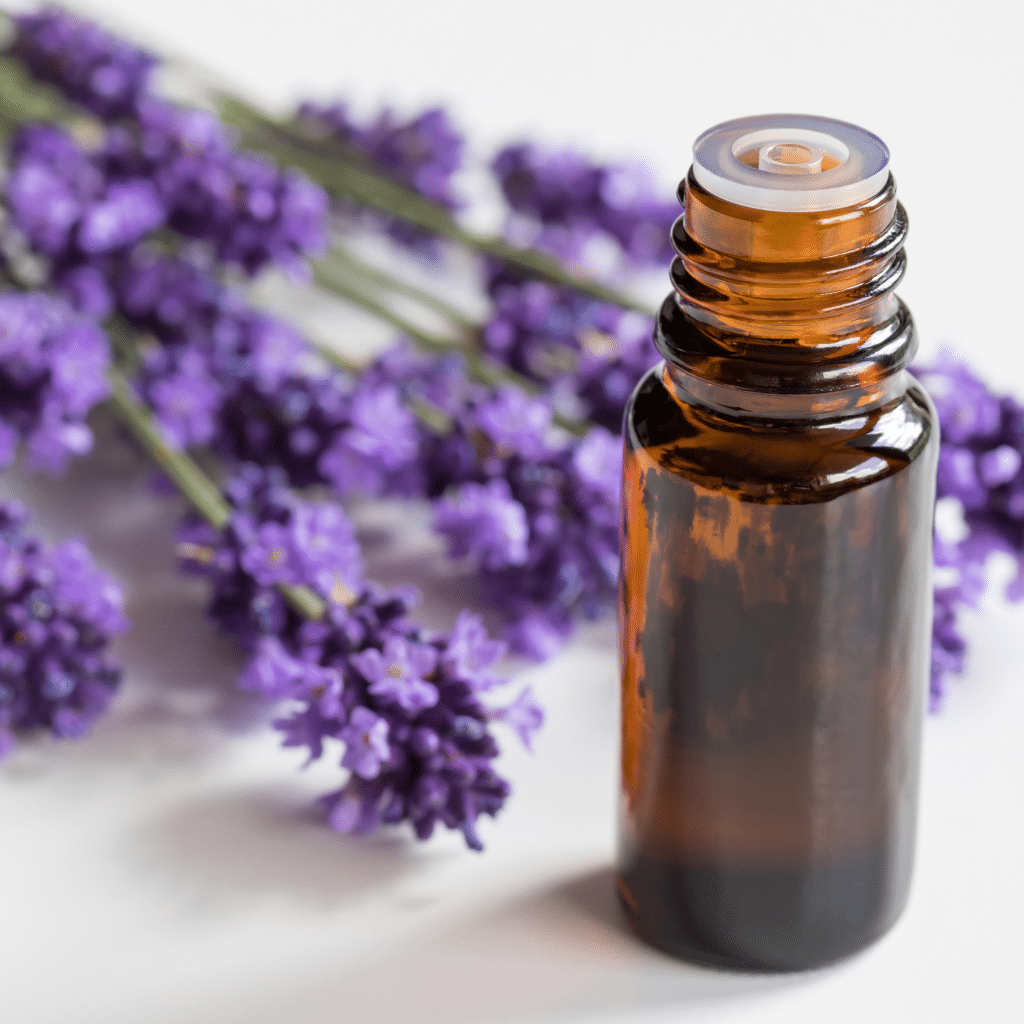 lavender essential oil