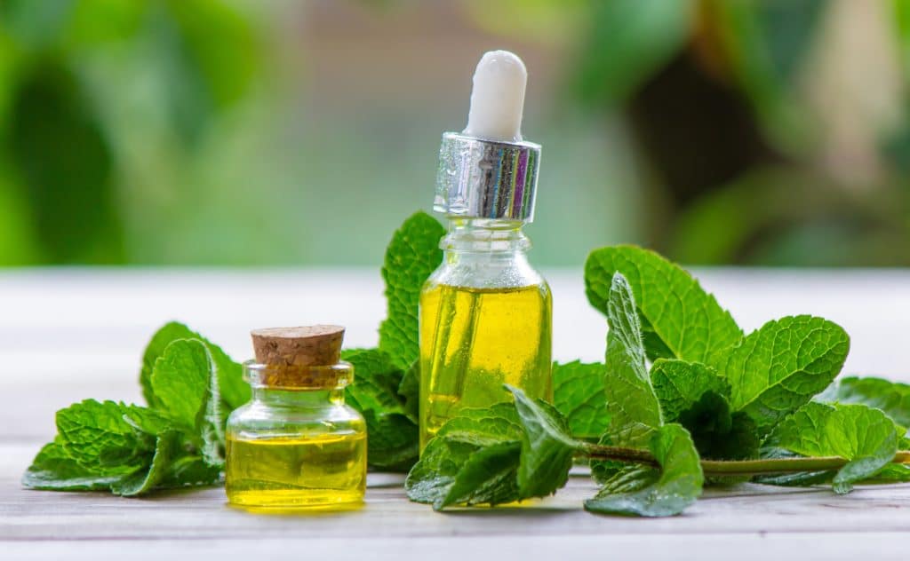 peppermint essential oil