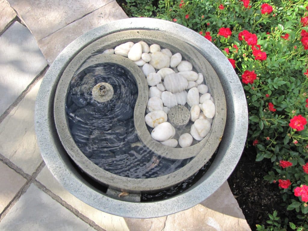 yin yang symbol in nature 