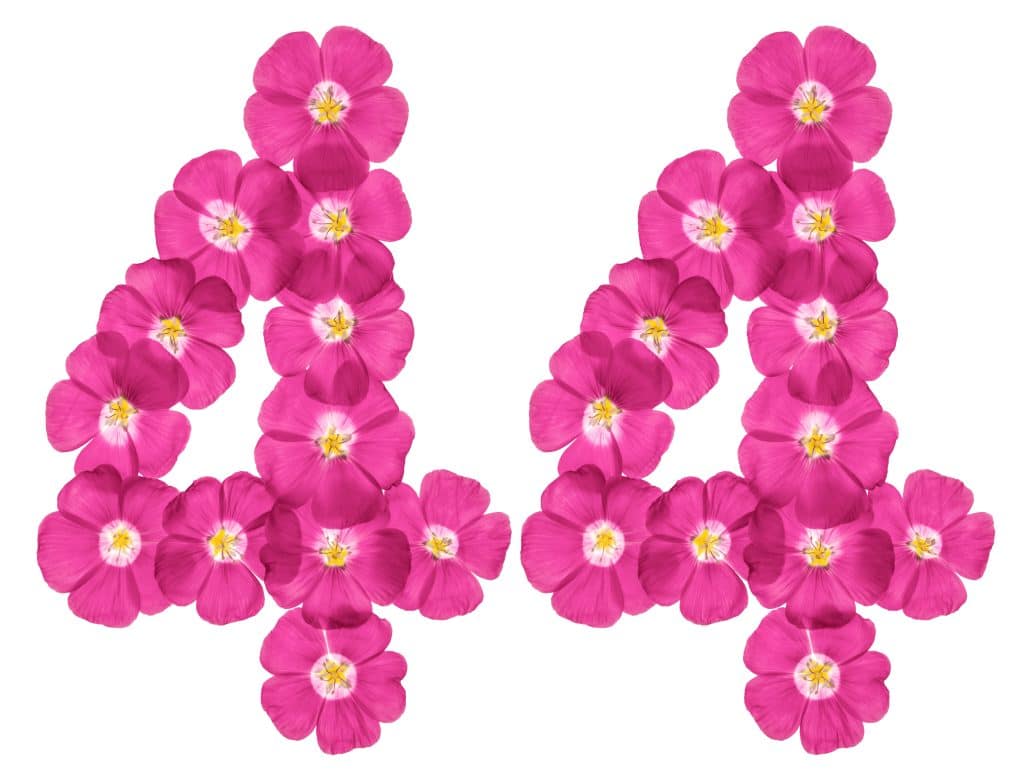 flowers number 44