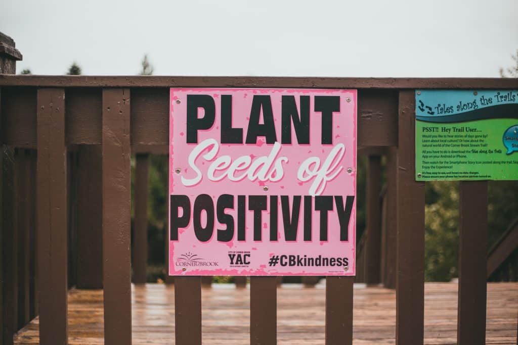 plant seeds of positivity