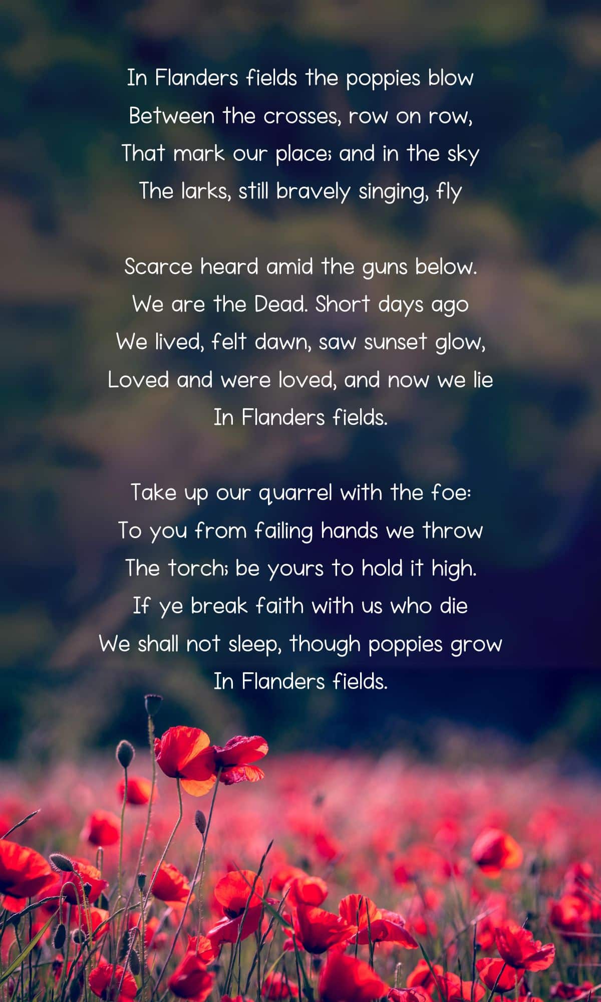 in Flanders field poem text